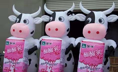 南郑牛奶厂广告气模
